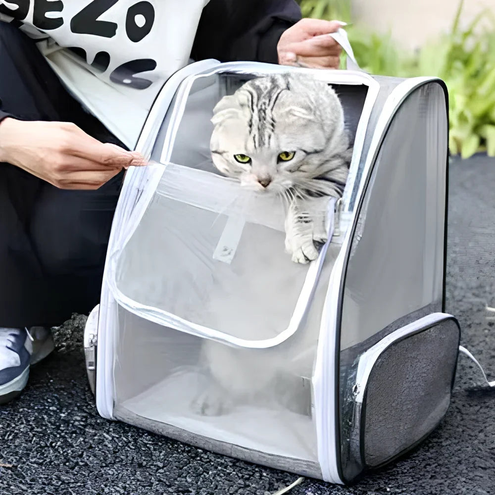 Sac de voyage chat